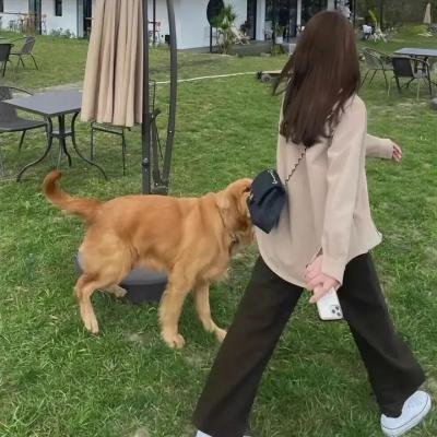 命案目睹记 海报