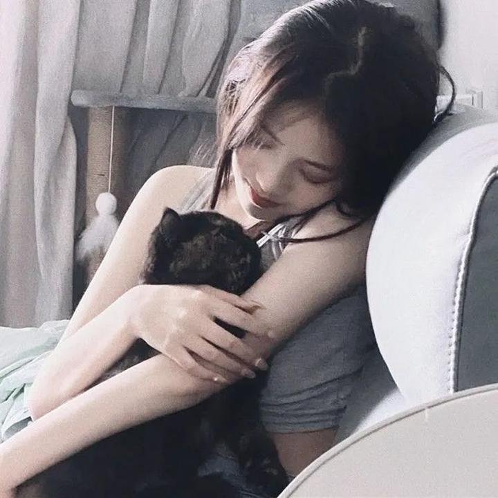 呆仔缉私 海报